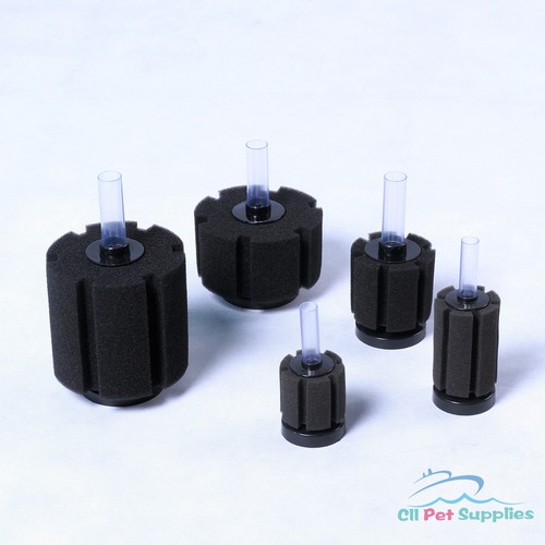 Bio sponge filter breeding - filter,